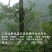 特级精品野生古树茶(简装)批零厂家资历老店