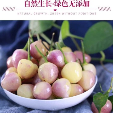 广西五色鲜辣椒五彩椒七彩椒5斤/10斤诚接批发一件代发