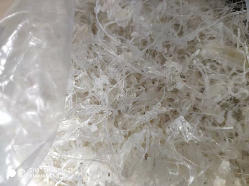 雪燕，龙须雪燕，10分钟快速泡发
