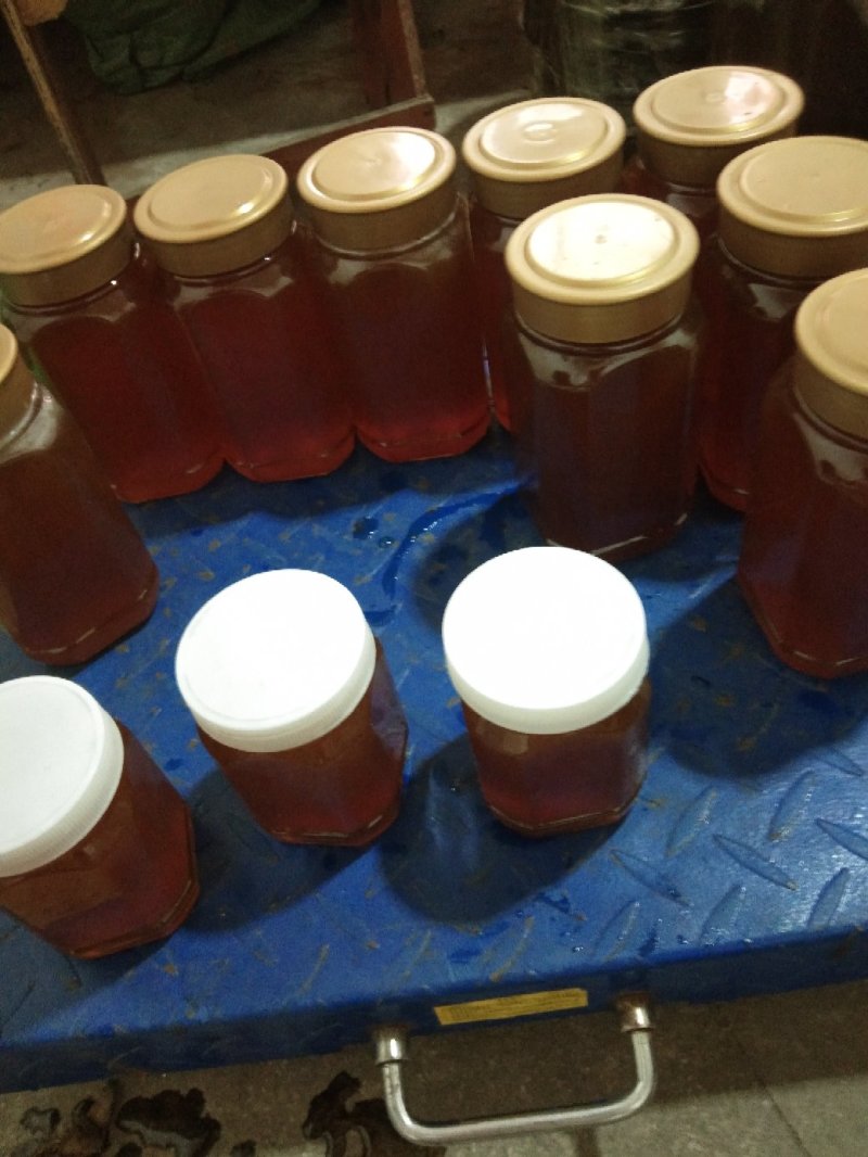 采自缅甸大山深处，大挂蜜，蜜蜂蜜，假一赔十！