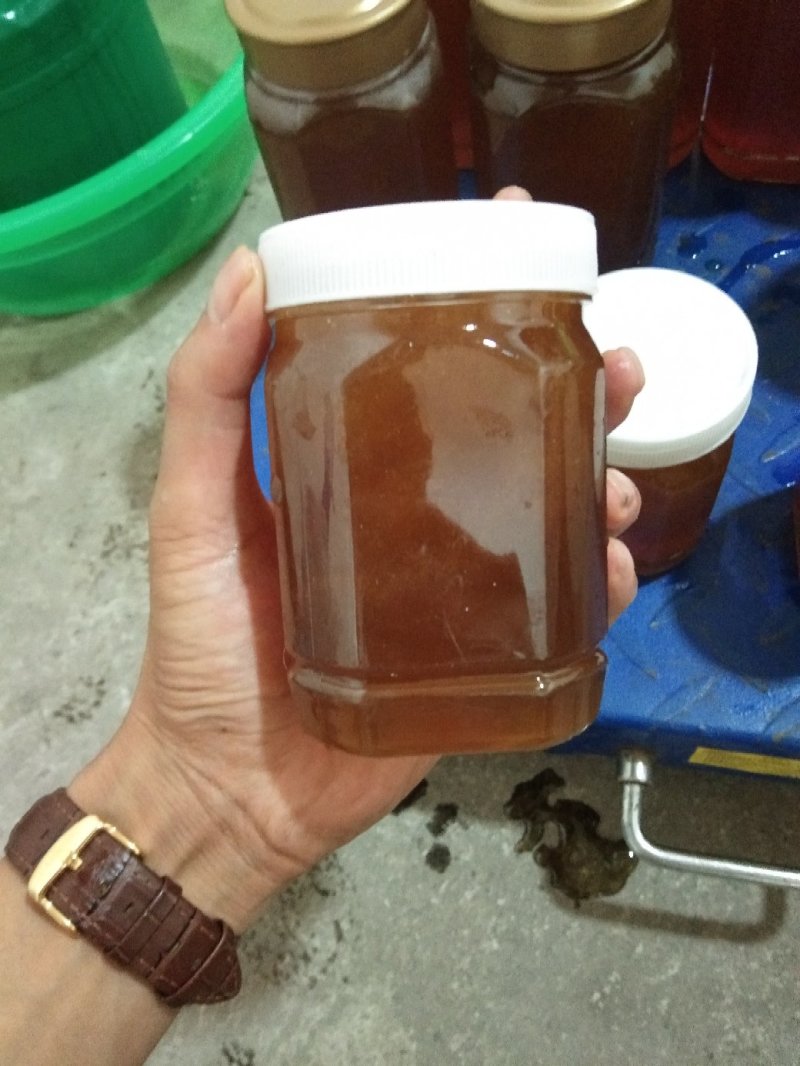 采自缅甸大山深处，大挂蜜，蜜蜂蜜，假一赔十！