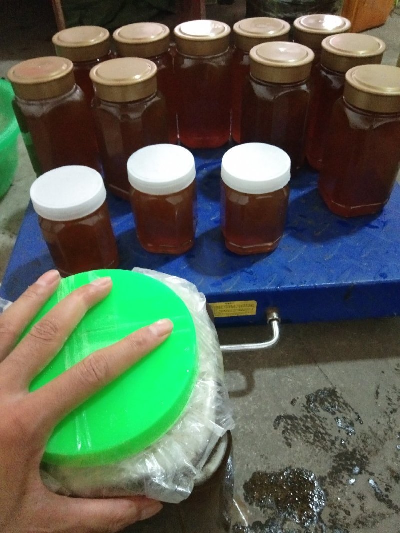 采自缅甸大山深处，大挂蜜，蜜蜂蜜，假一赔十！