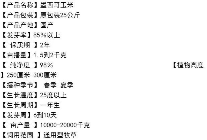 墨西哥玉米草牧草种子进口甜高粱种子，高产牧草种子