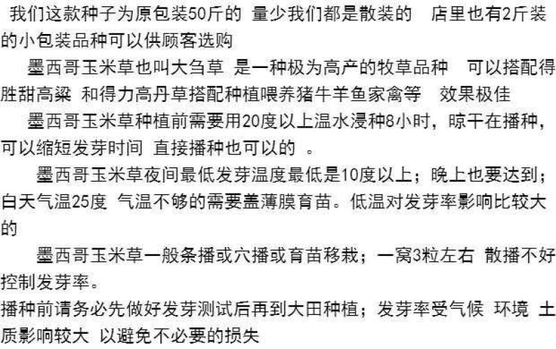 墨西哥玉米草牧草种子进口甜高粱种子，高产牧草种子