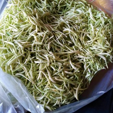 金银花