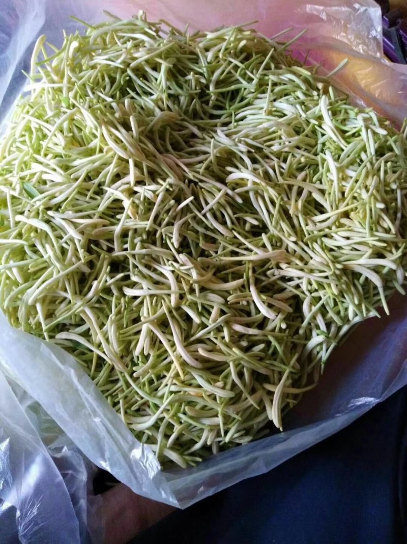 金银花