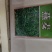 燕麦种子