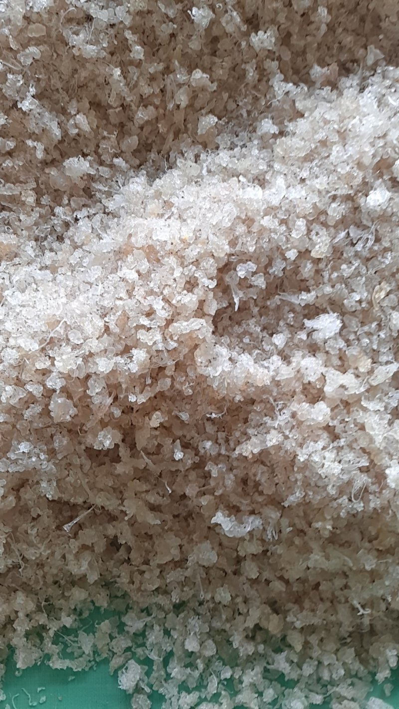 雪燕，龙须雪燕，10分钟快速泡发