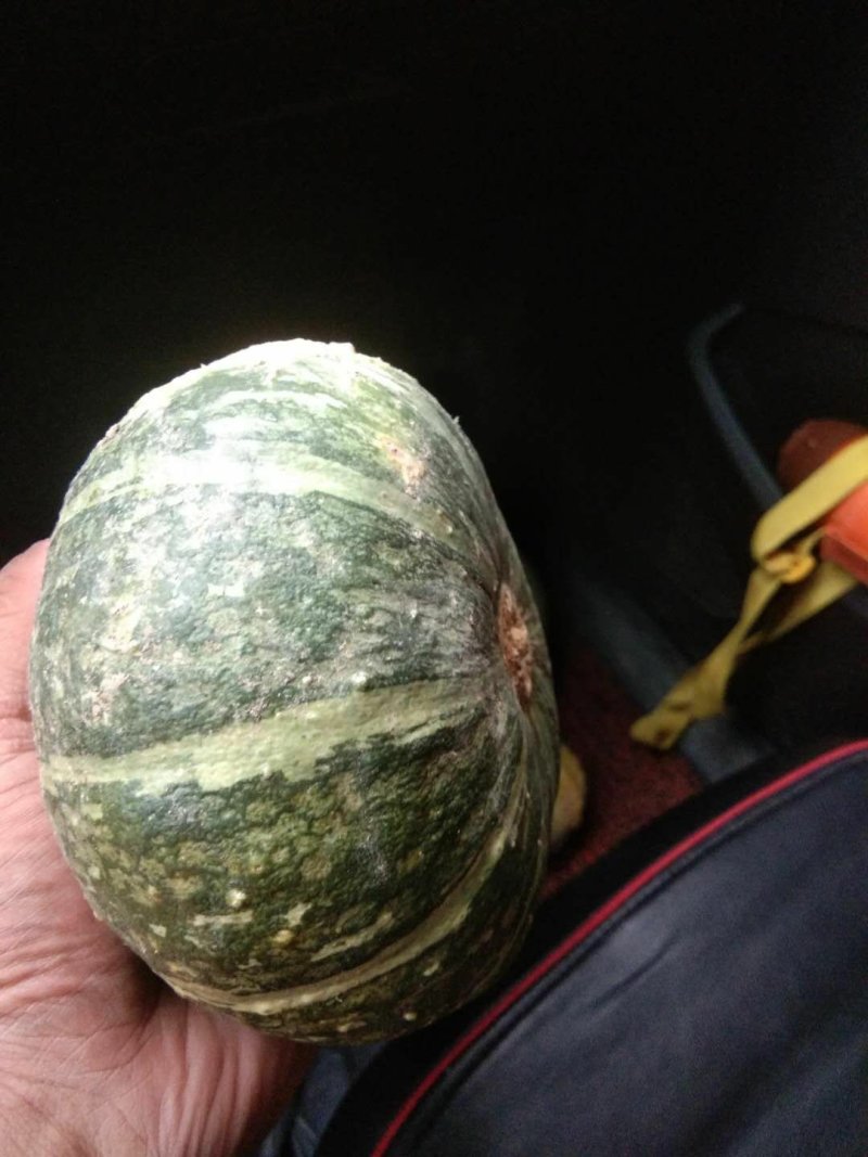 板栗南瓜对接电商微商各大团队平台