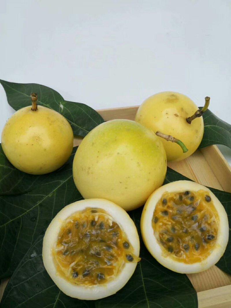 百香果
