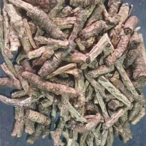 胡黄莲进尼泊尔一手货源，质量优良