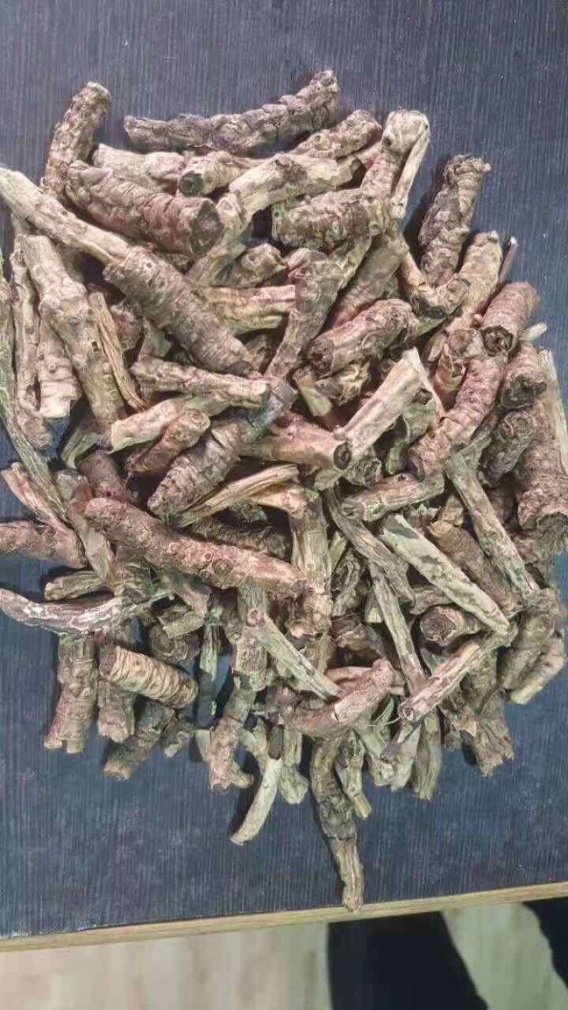 胡黄莲进尼泊尔一手货源，质量优良