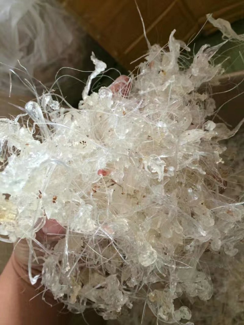 雪燕，龙须雪燕，10分钟快速泡发