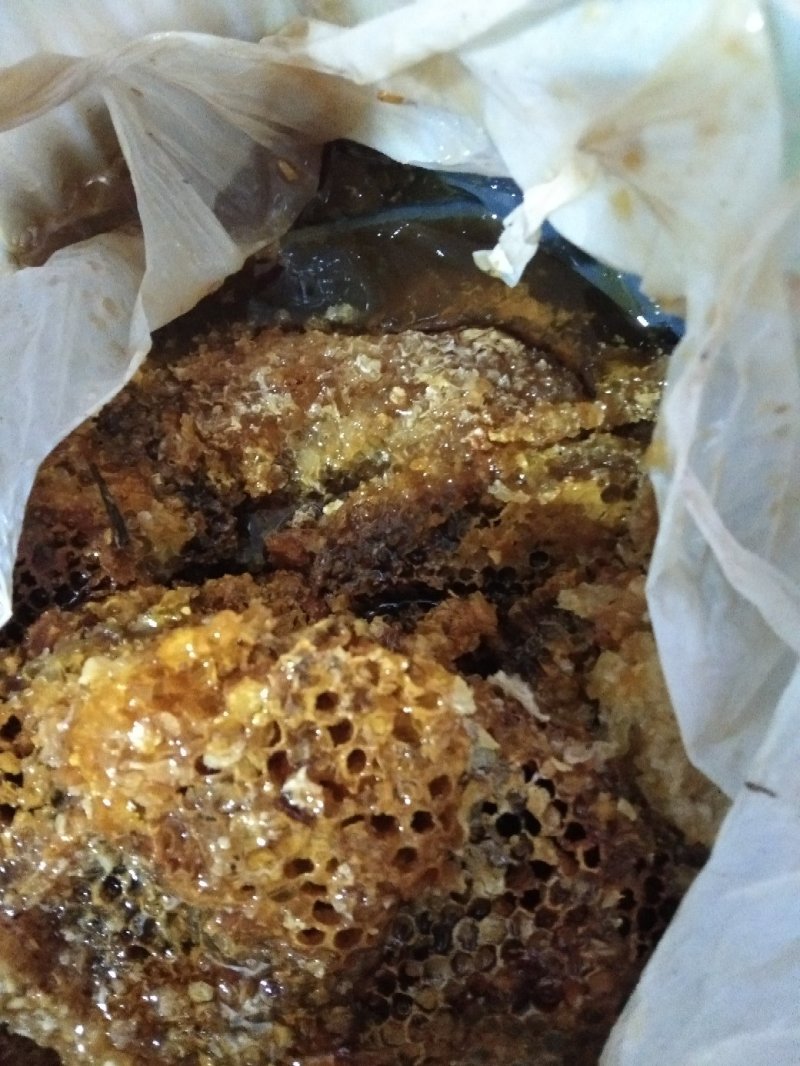 采自缅甸大山深处，大挂蜜，蜜蜂蜜，假一赔十！