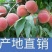 大桃批发市场山东省潍坊市安丘市官庄镇马家小庄村