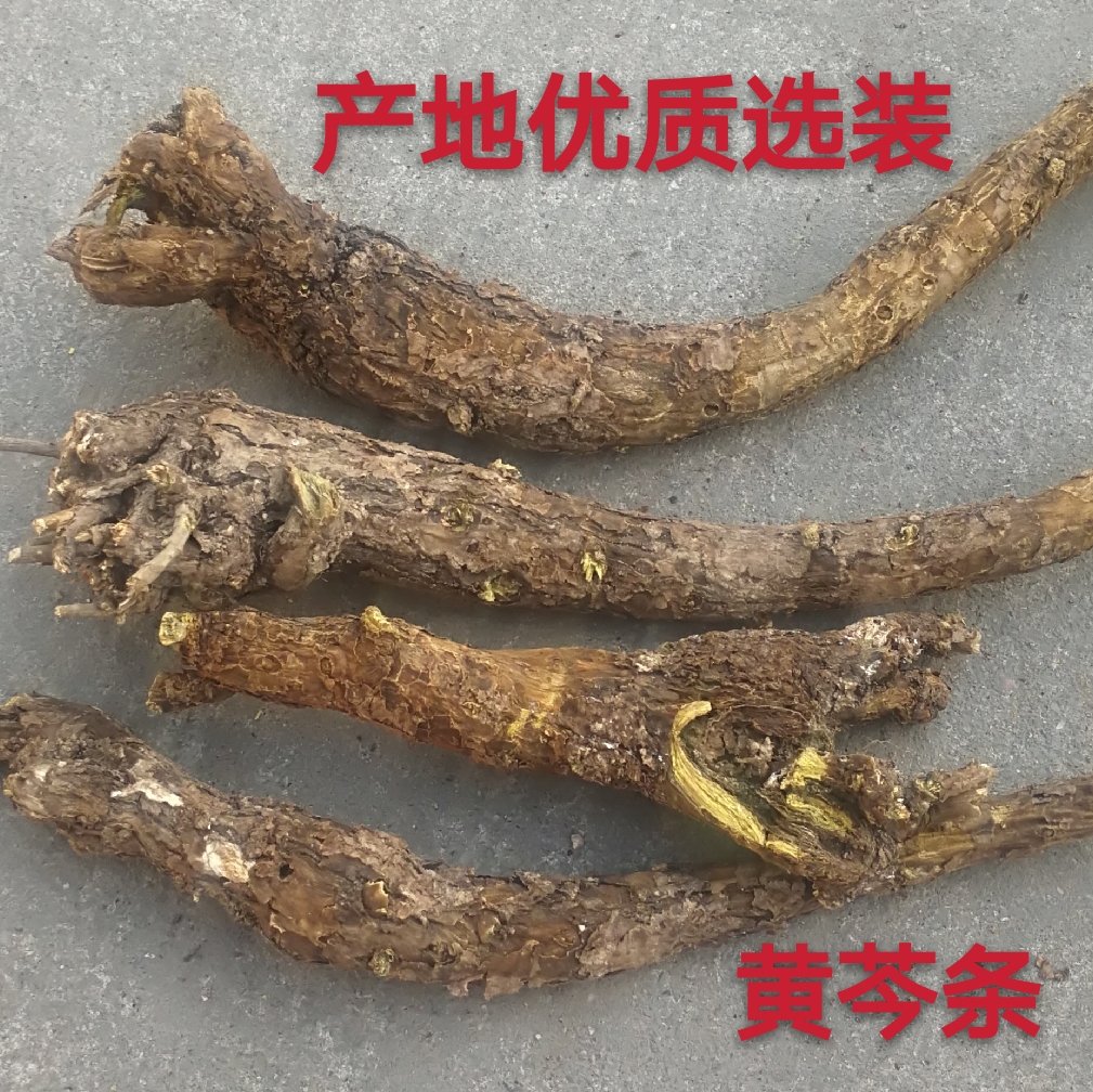 黄芩野生家种陕北内蒙地产