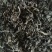 免洗地皮菜供应，农家一手货源，