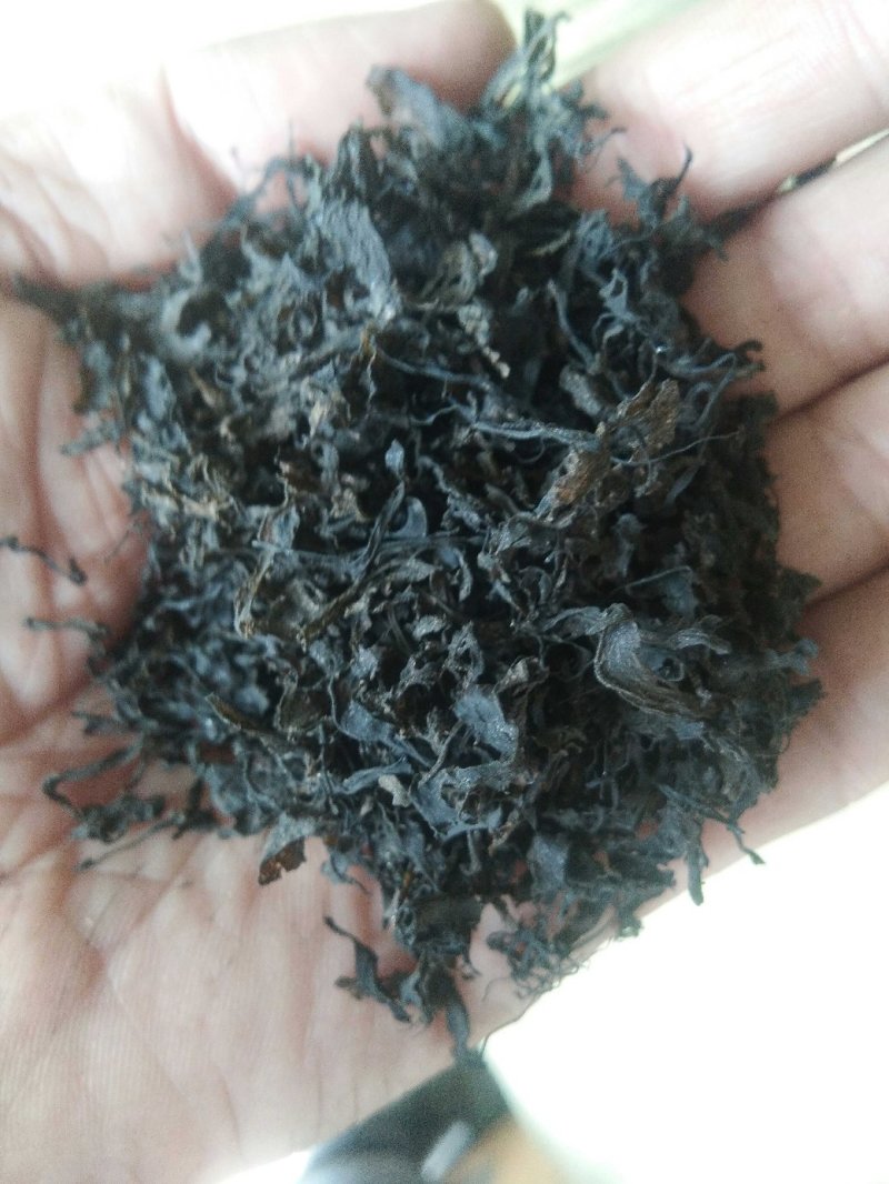 免洗地皮菜供应，农家一手货源，