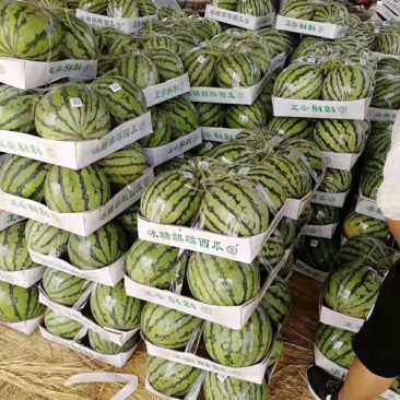 西瓜
