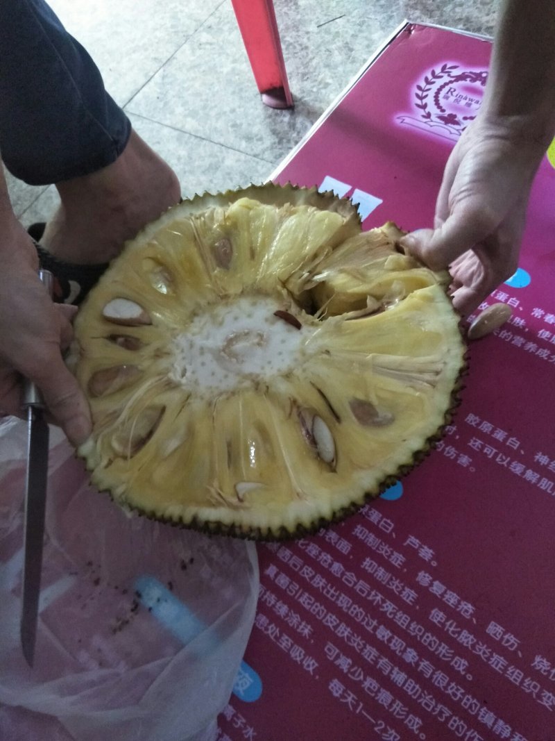 产地大量龙眼货源上市果园直供质优价廉有需要先v我