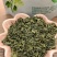 野生罗布麻茶降血糖血脂血压