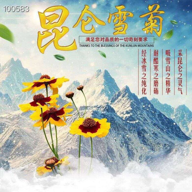 新疆昆仑山野生雪菊1斤起包邮可一件代发