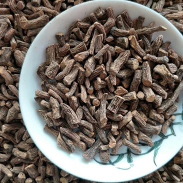 新疆阿克苏野生蒲公英根茶1斤起包邮