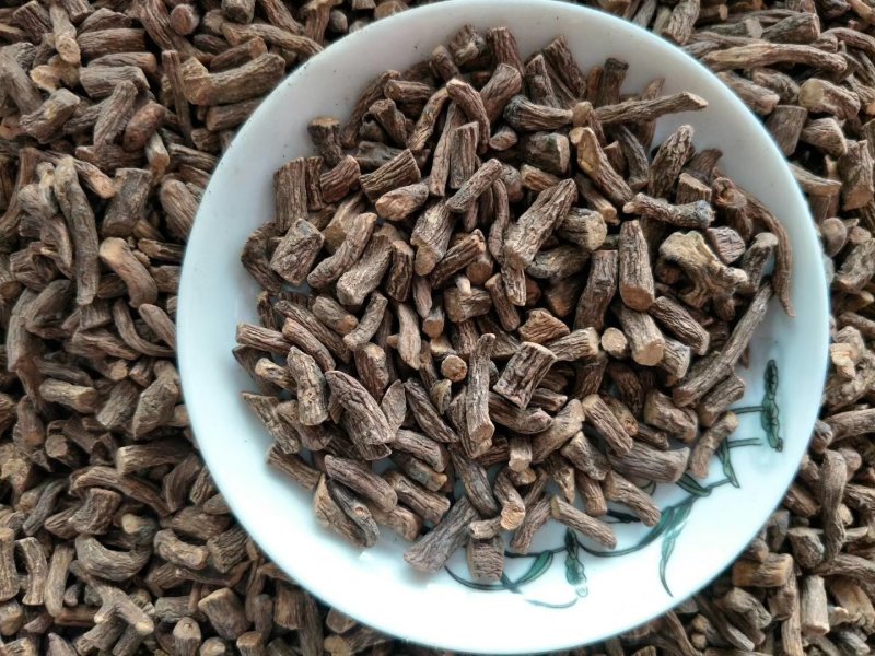 新疆阿克苏野生蒲公英根茶1斤起包邮