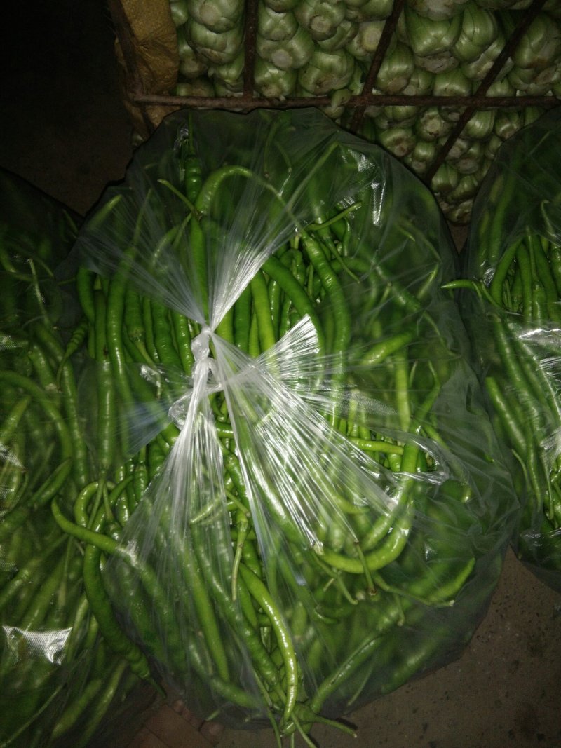 鲜辣椒