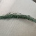中药材百蕊草