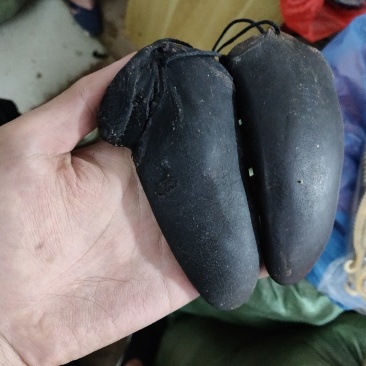鹿尾