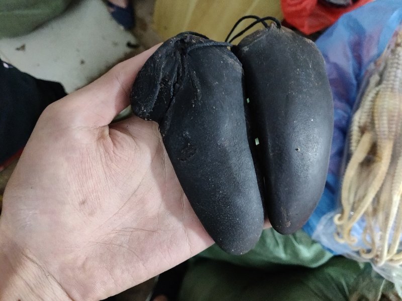 鹿尾