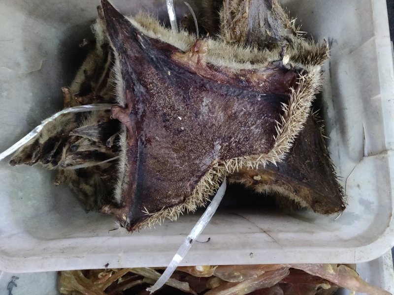 刺猬皮