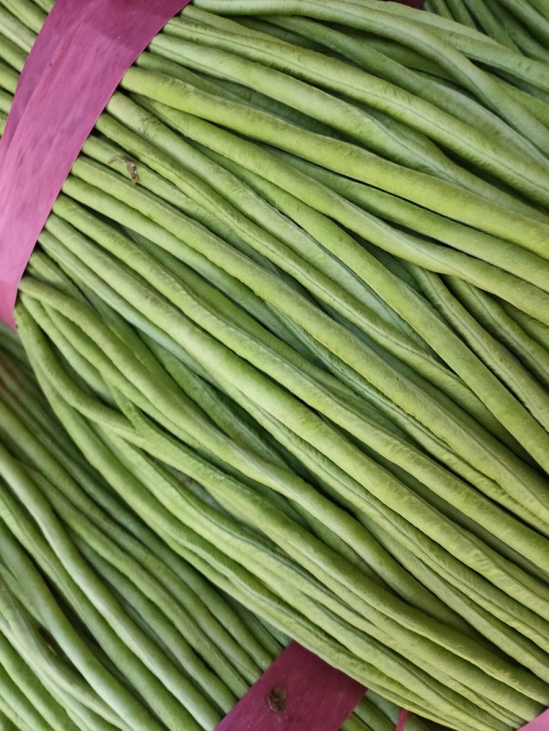 长豆角豇豆