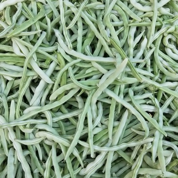 豆类