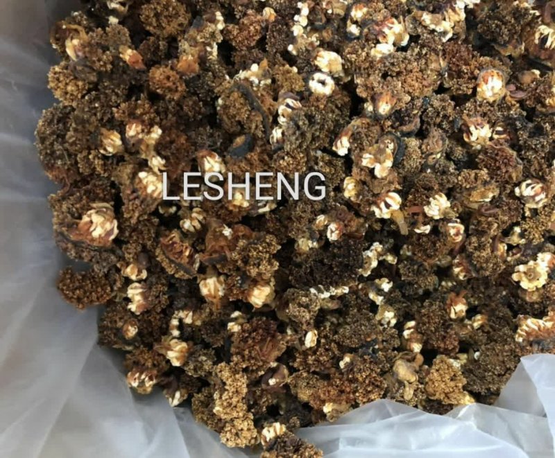 加拿大淡干北极海参花