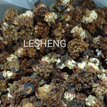加拿大淡干北极海参花