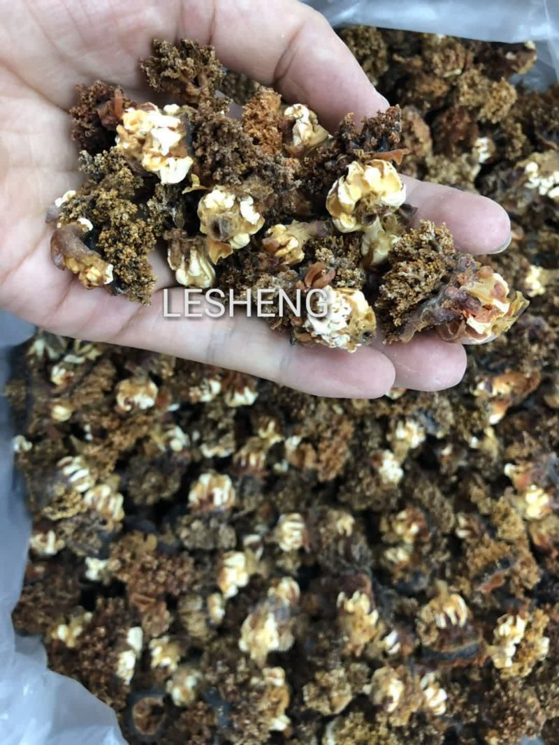 加拿大淡干北极海参花