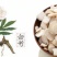 白芍干净无硫大量供应