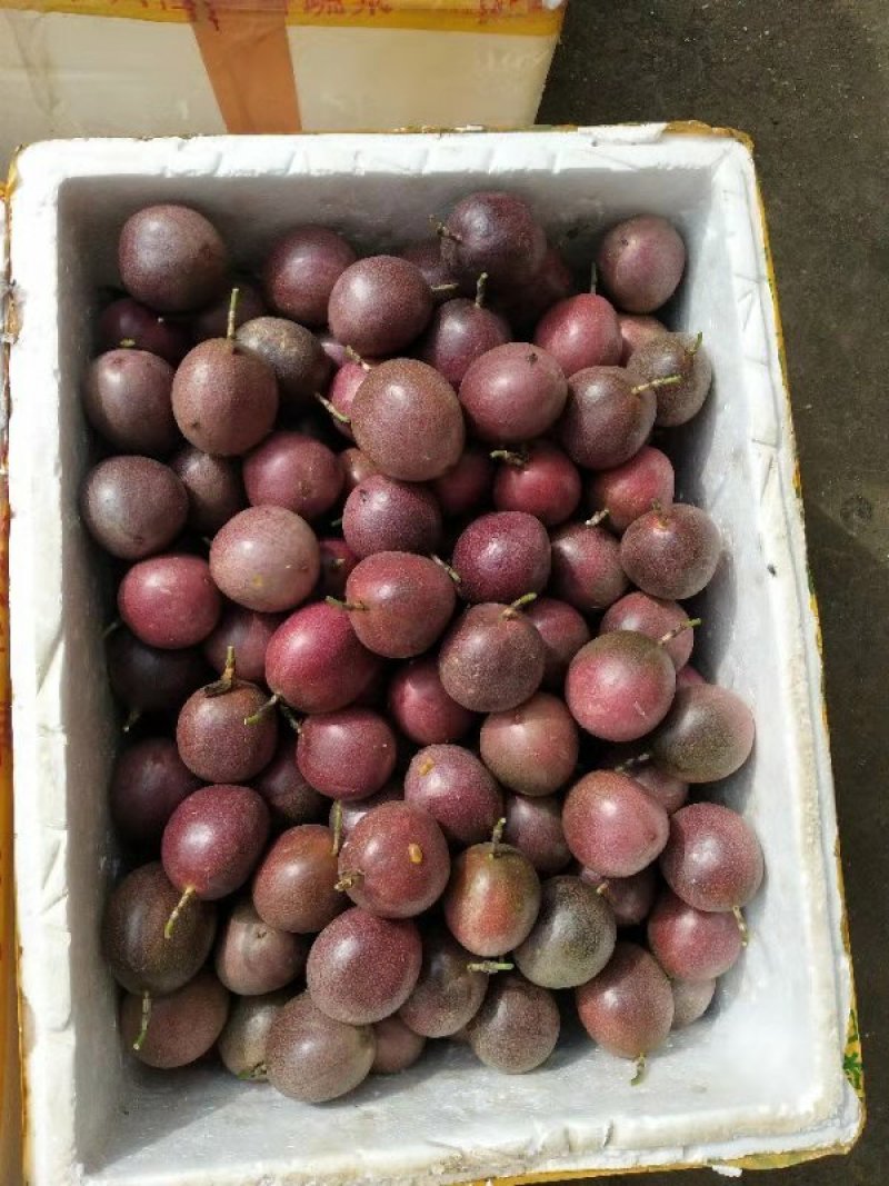 江西紫香百香果皱皮果奶茶店专用产地果园一手货源供应