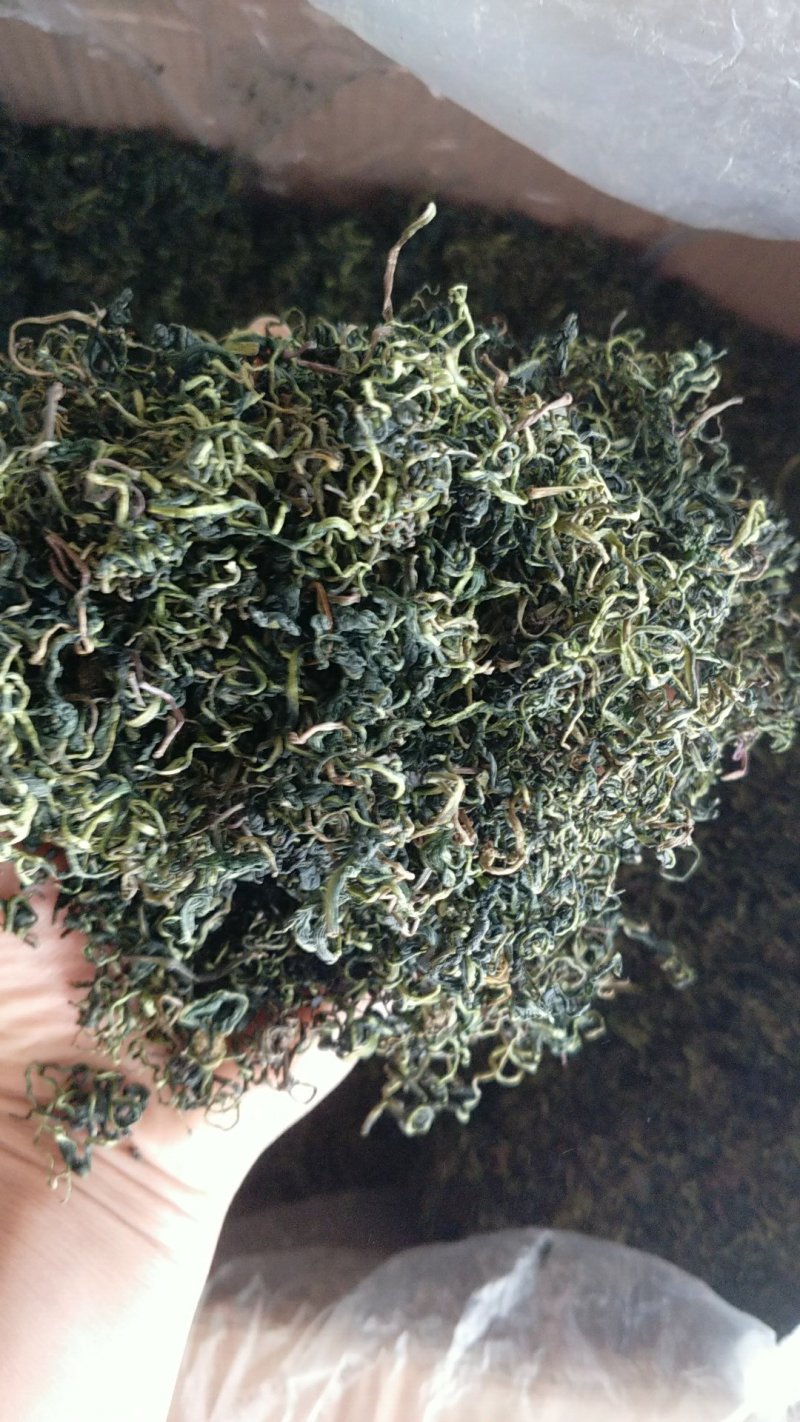 振兴药材批发供应蒲公茶保质保量常年供应诚信合作薄利