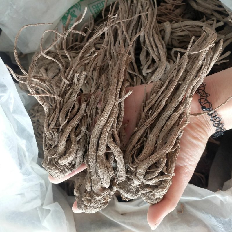 振兴药材批发供应无硫当归个保质保量常年供应诚信合作