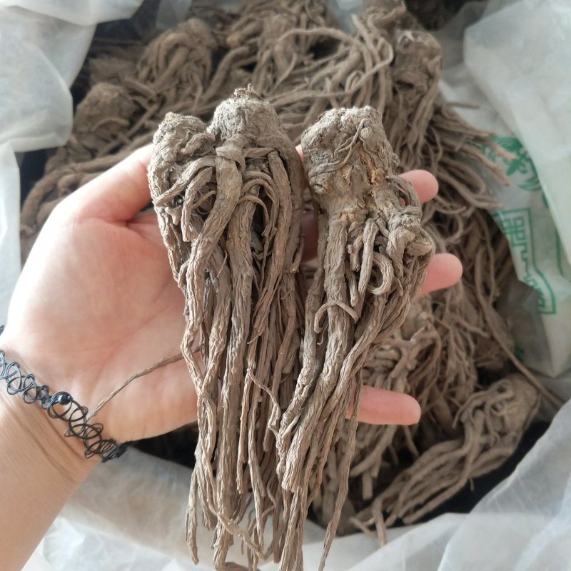 振兴药材批发供应无硫当归个保质保量常年供应诚信合作