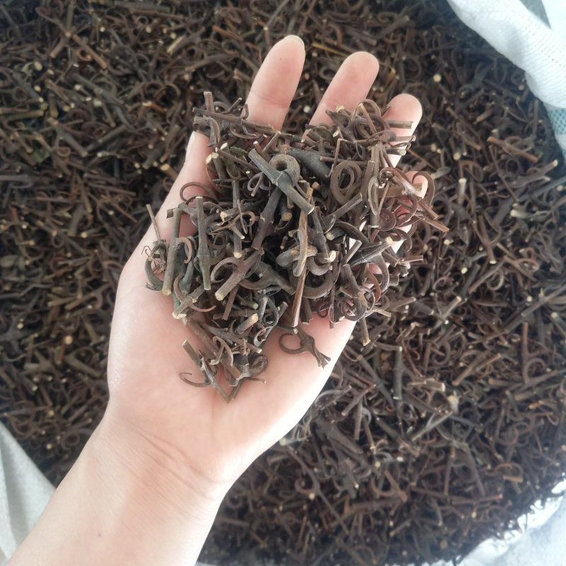 振兴药材批发供应钩藤规格齐全产地直供一手货源全国发货