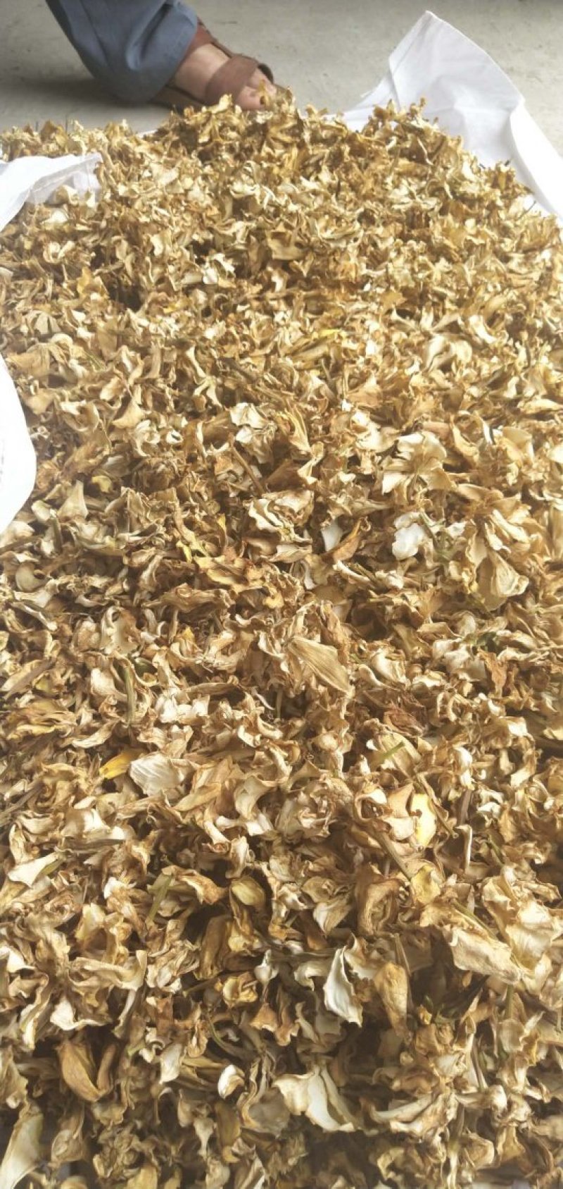 栀子花，干花，