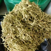 振兴药材批发供应金银花保质保量常年供应诚信合作