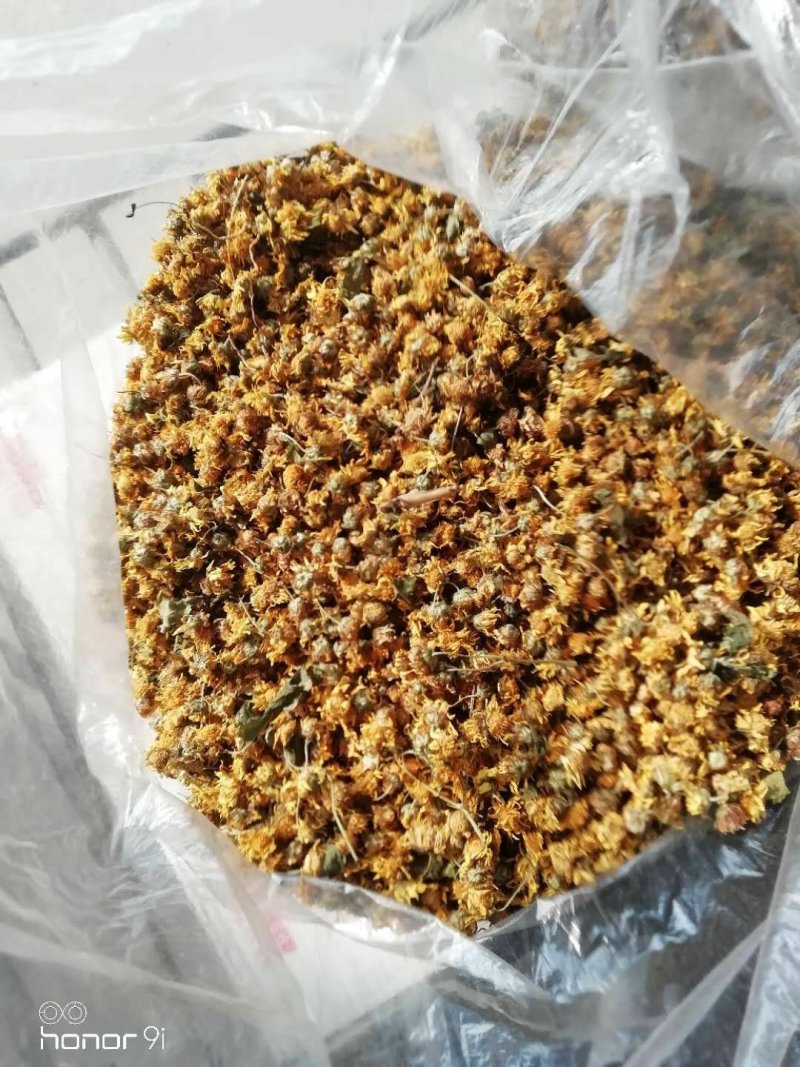 野菊花新货出来了湖北野菊花产地，自己加工，保证质量新鲜