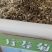 万寿菊花种子花卉化海种子公园庭院均可种植