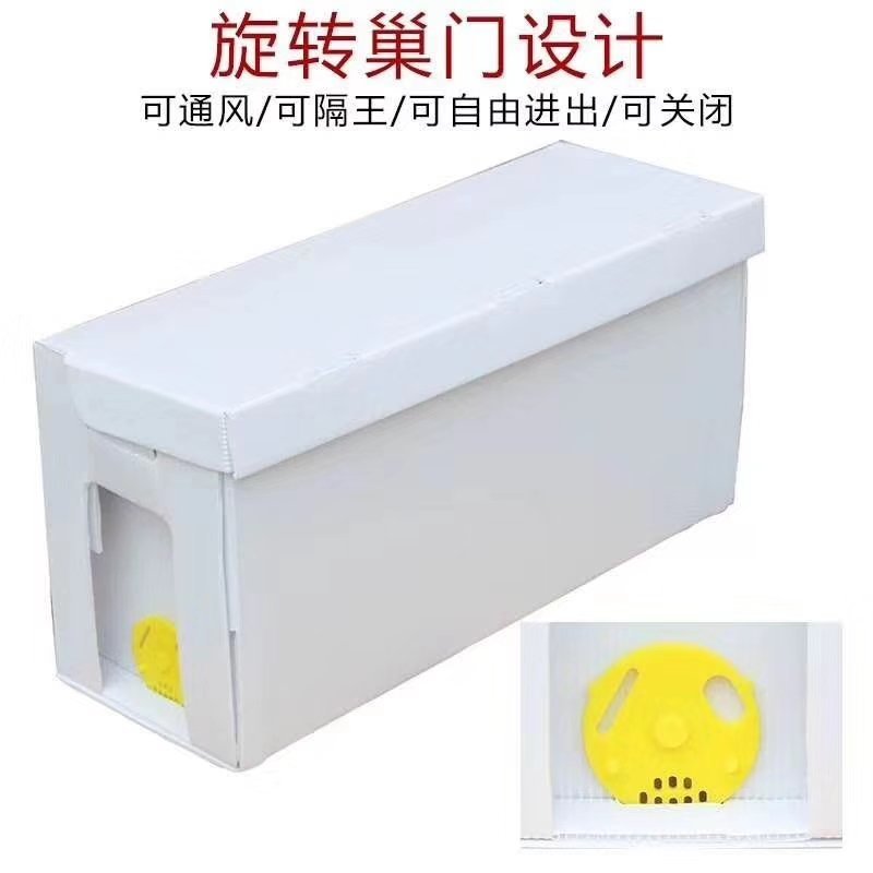 折叠式分蜂育王蜂箱