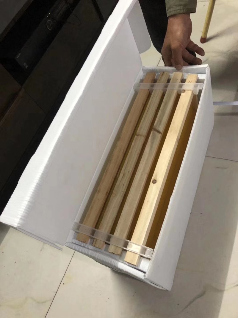 折叠式分蜂育王蜂箱